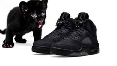 Air Jordan 5 Black Cat