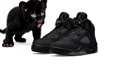 Black Cat Jordan 5